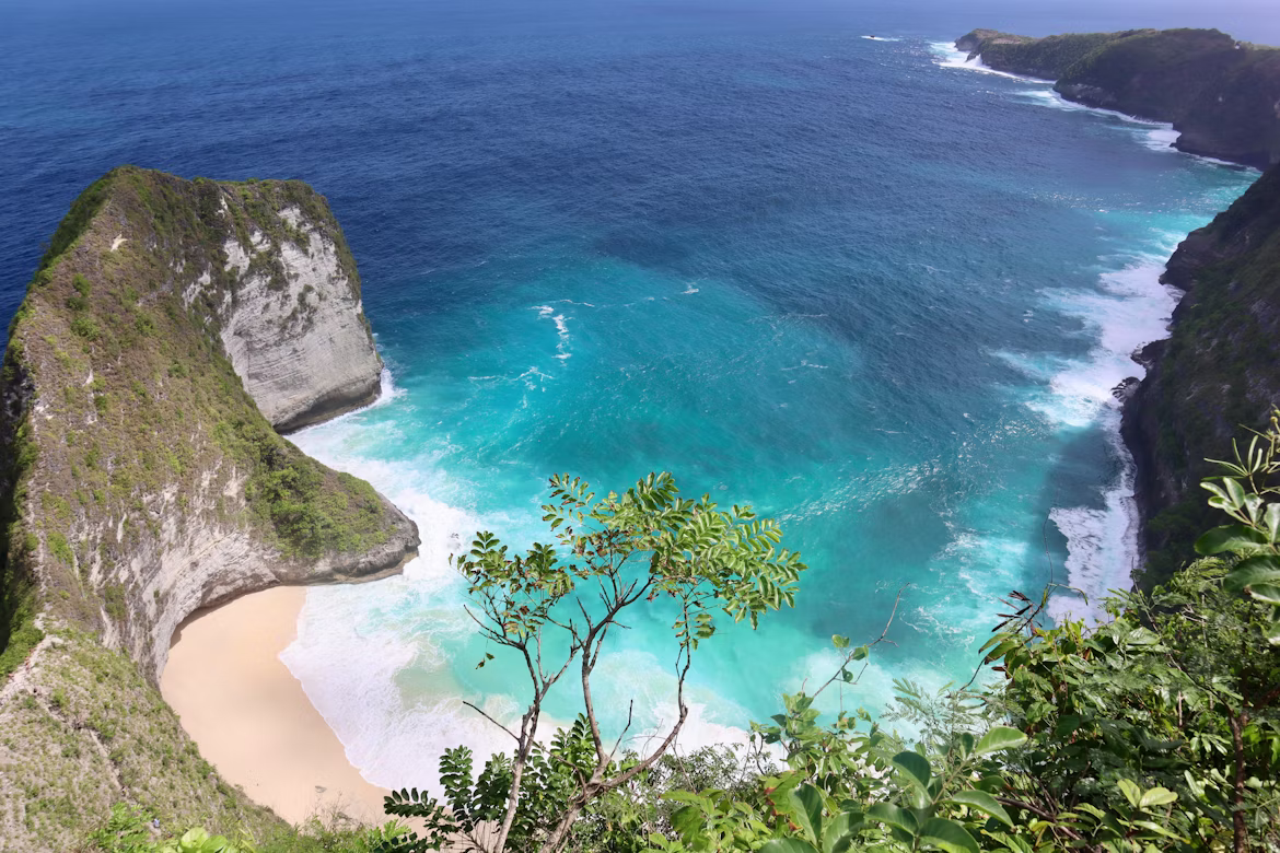 Green rice terraces and palm trees in Bali