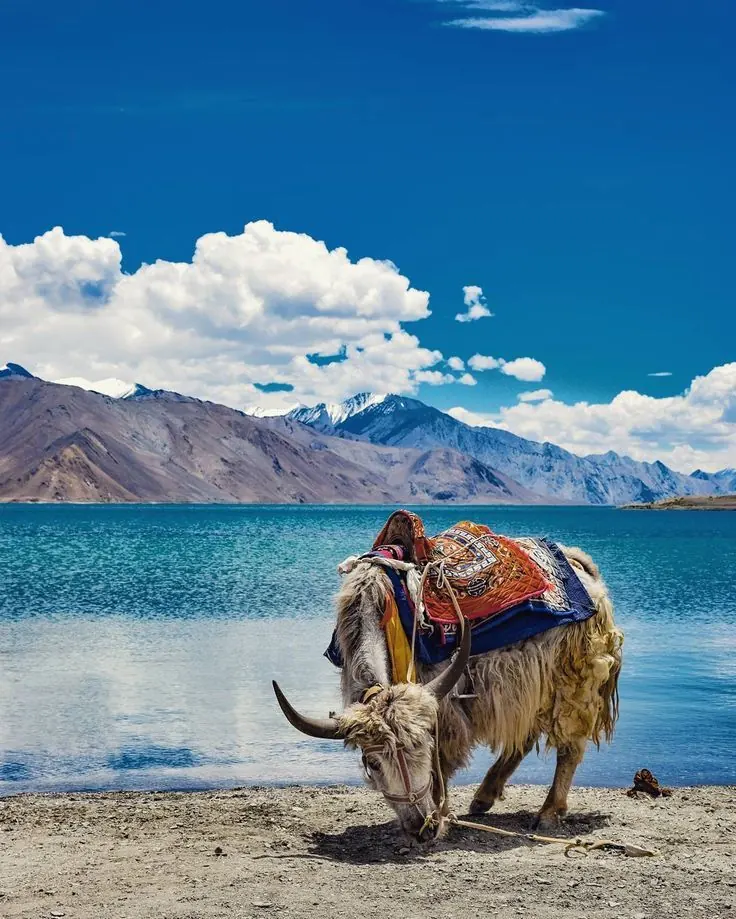 Ladakh mountains
