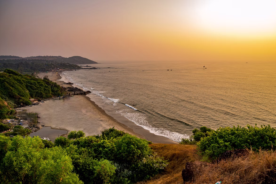 Aerial view of a palm-fringed Goa beach at sunset