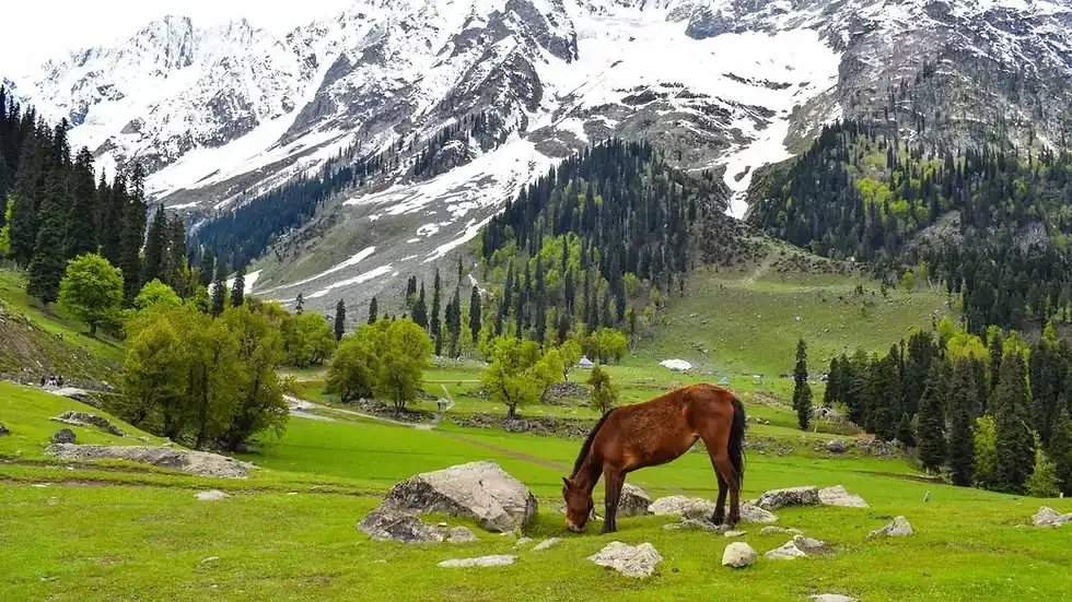 India