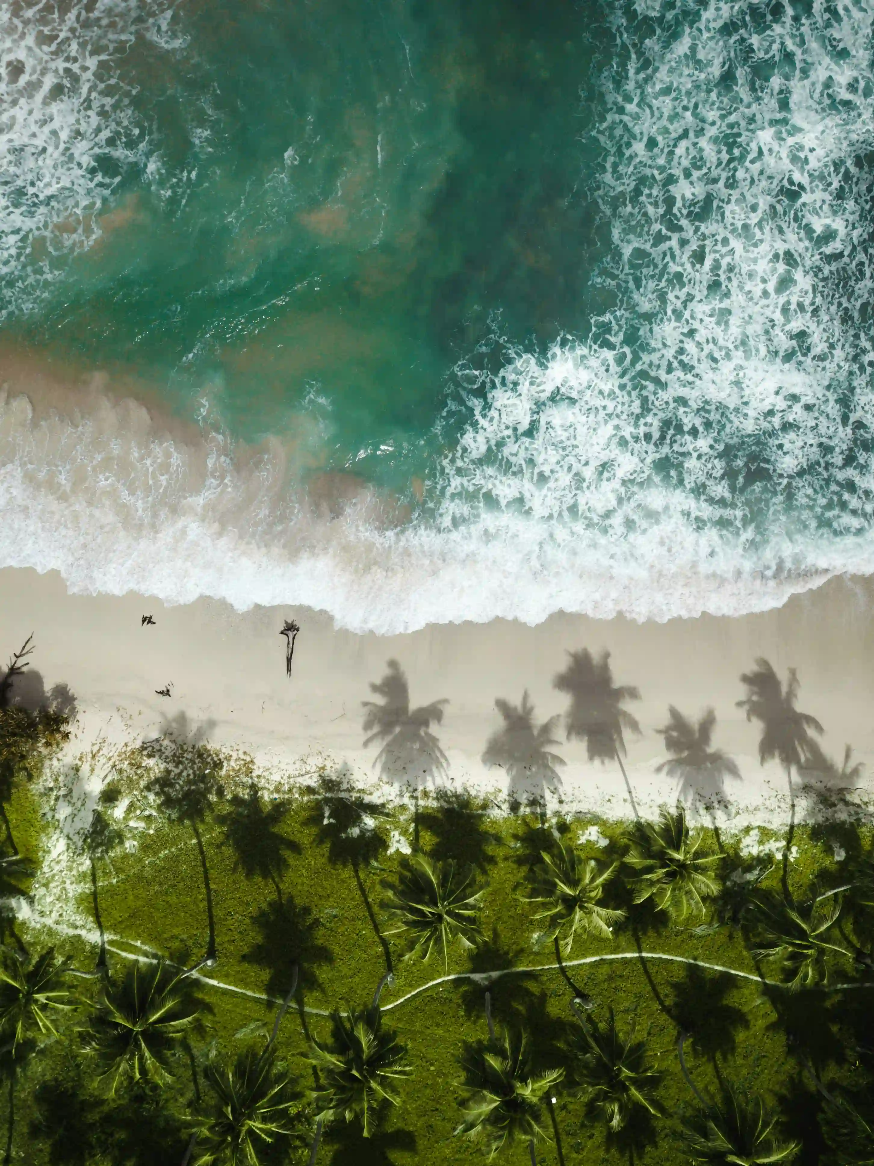 Andaman and Nicobar