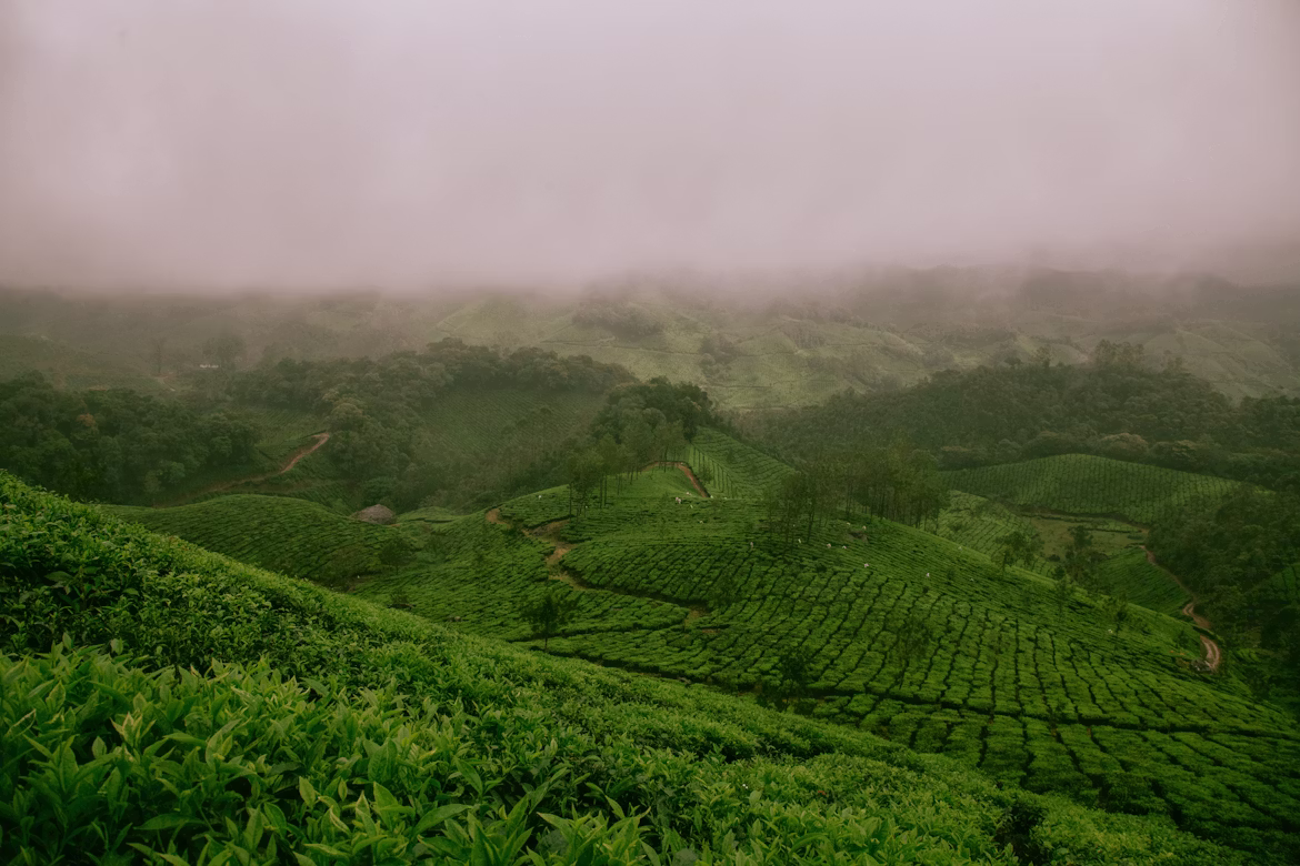 Misty green hills and waterfall in North East India
